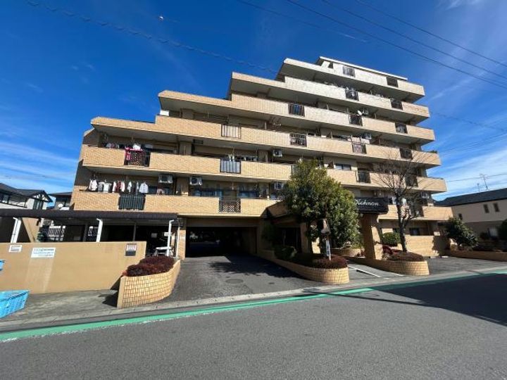 ダイアパレス江南の外観