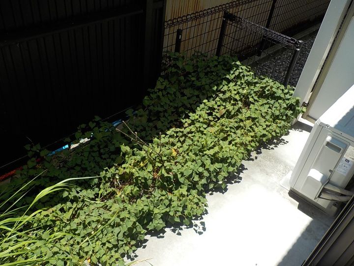 静岡県浜松市中央区旅籠町(アパート)の賃貸物件の内装