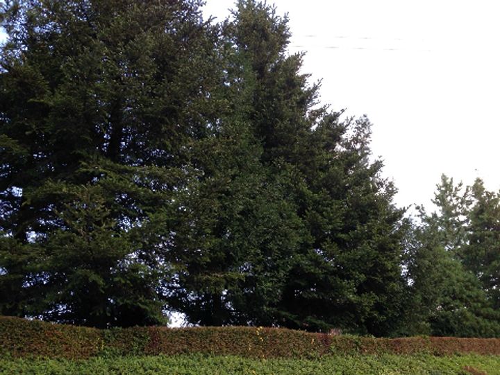 コーポ和気の周辺