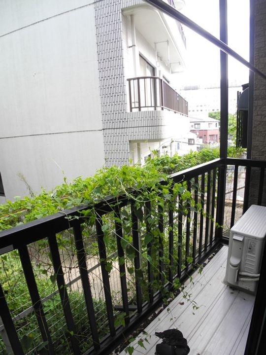 シャル夢VIIの内装