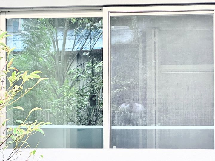 東京都品川区南品川6(マンション)の賃貸物件の居間