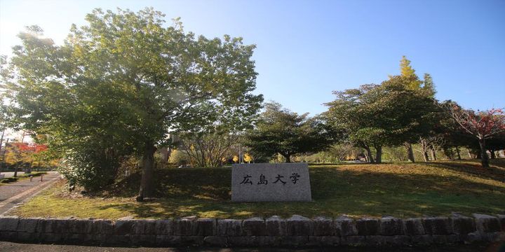 光ハイツAの周辺