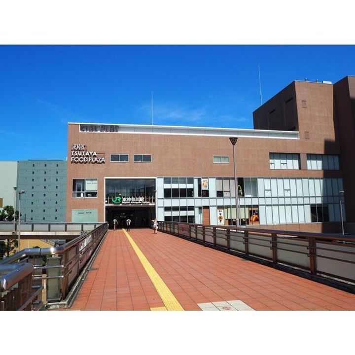 プラスシティ東白楽の周辺