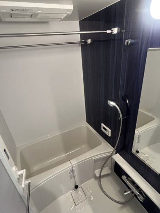 ルミエール日泉の風呂