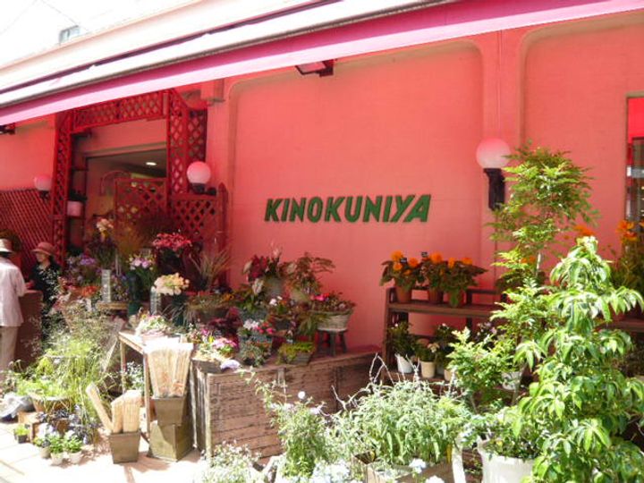 東京都国立市中1(一戸建)の賃貸物件の周辺