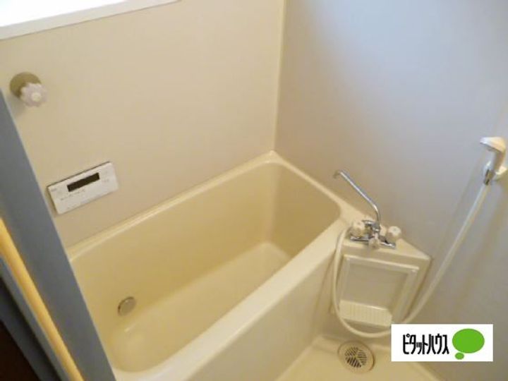 メゾンドイーグルIIの風呂