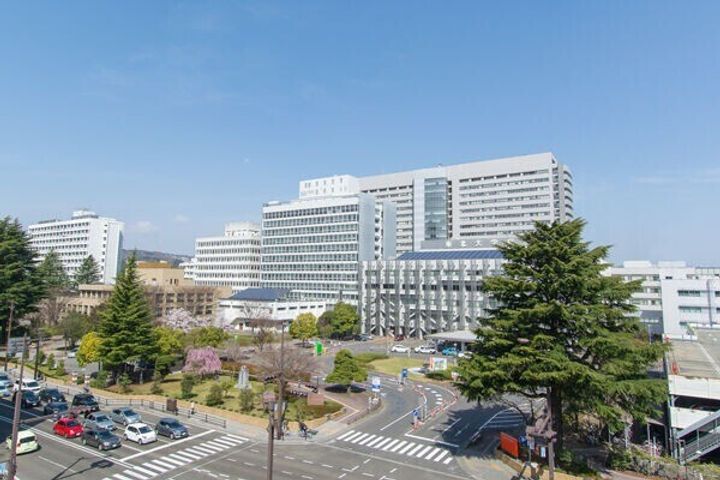 ニューフォーブルの周辺