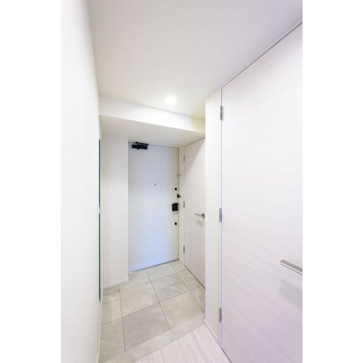 東京都台東区元浅草2(マンション)の賃貸物件の玄関