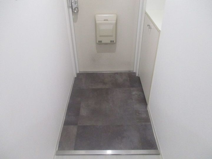 大阪府大阪市住之江区御崎4(マンション)の賃貸物件の玄関