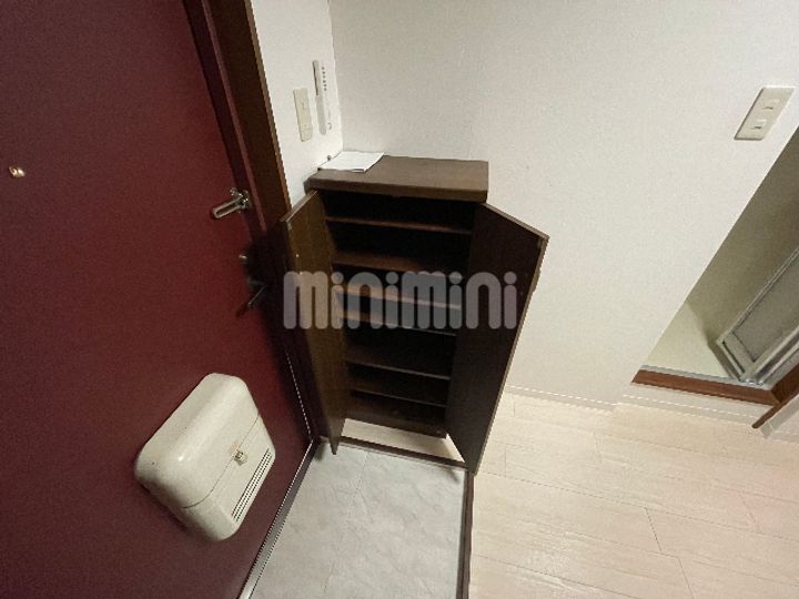 ドミール雅の玄関