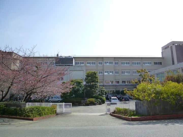 兵庫県宝塚市小浜5(一戸建)の賃貸物件の周辺