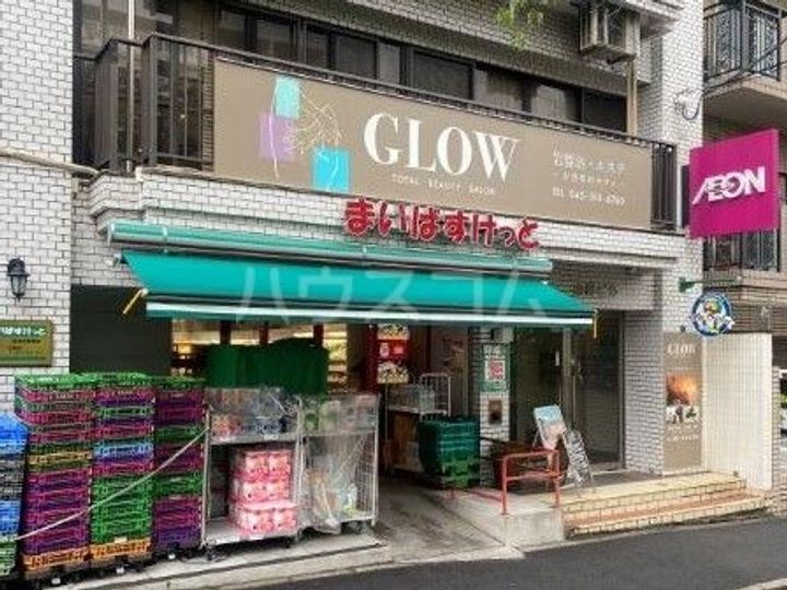 神奈川県横浜市南区南太田1(一戸建)の賃貸物件の周辺