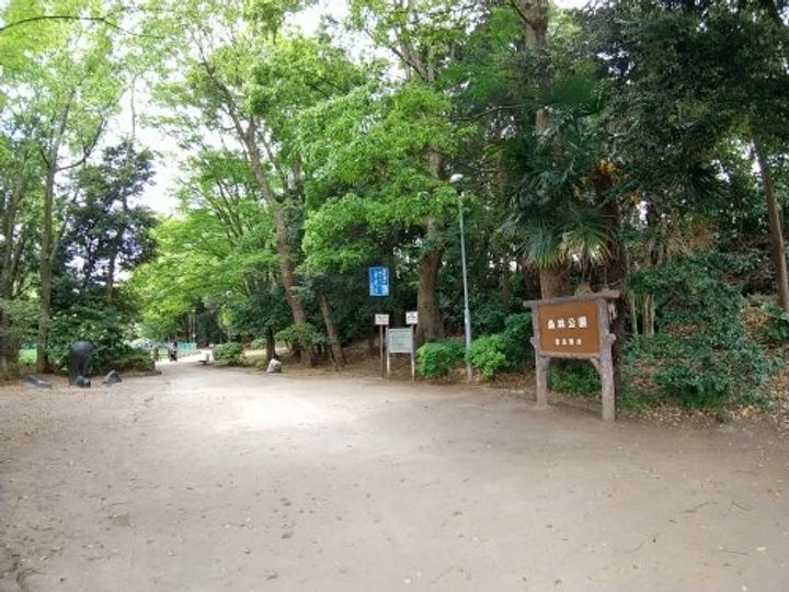 セントヒルズ津田沼1の周辺