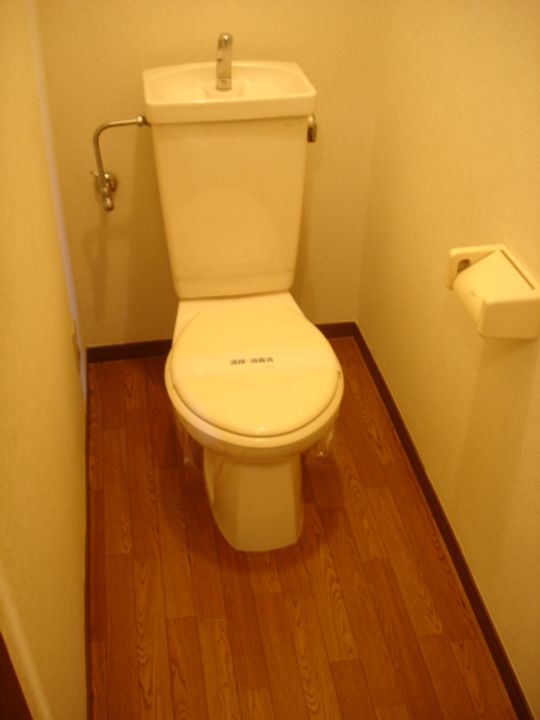 メゾフォルテのその他画像