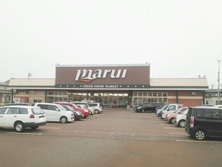 新潟県長岡市下々条町(アパート)の賃貸物件の周辺