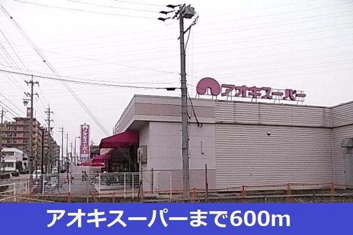 ブルー ローズの周辺