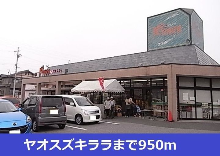 ブルー ローズの周辺