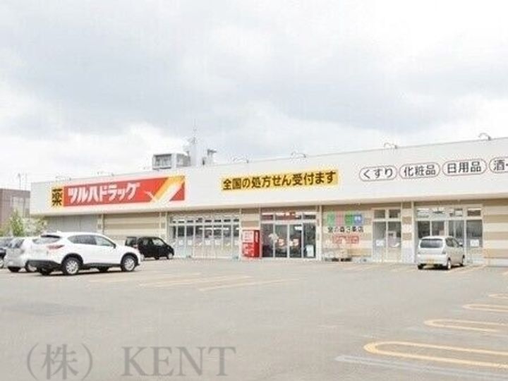 宮の森ロイヤルハイツの周辺