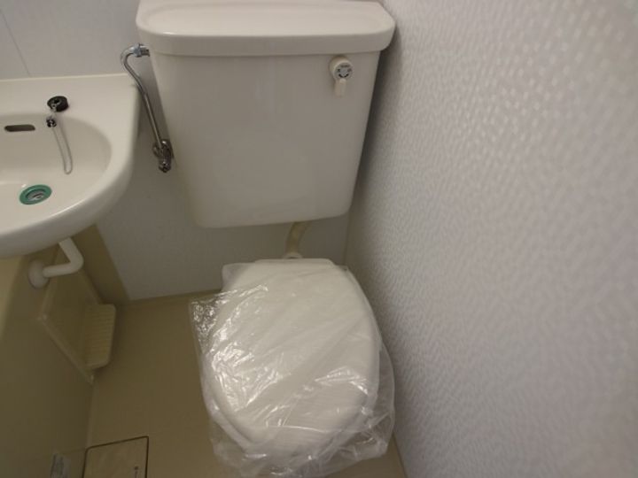 神奈川県藤沢市大鋸1(マンション)の賃貸物件の内装