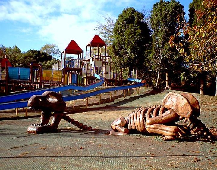 神奈川県平塚市中原1(一戸建)の賃貸物件の周辺