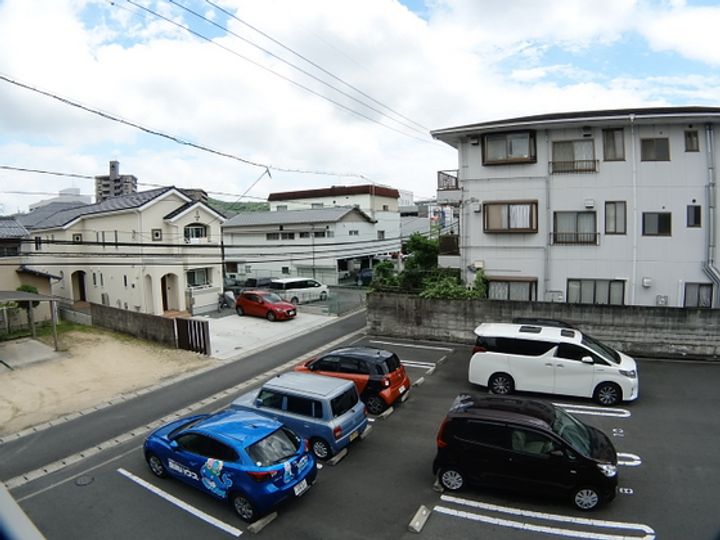 フィールド ハタのその他画像