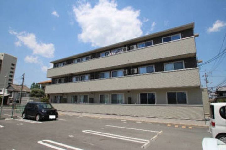 フィールド ハタの外観