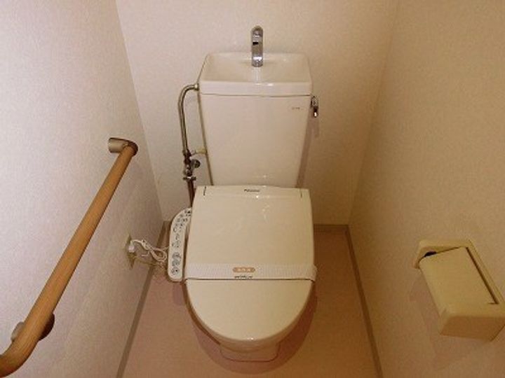 神奈川県厚木市愛甲東3の賃貸マンションの内装