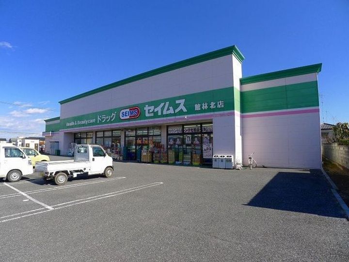 群馬県館林市坂下町(アパート)の賃貸物件の周辺