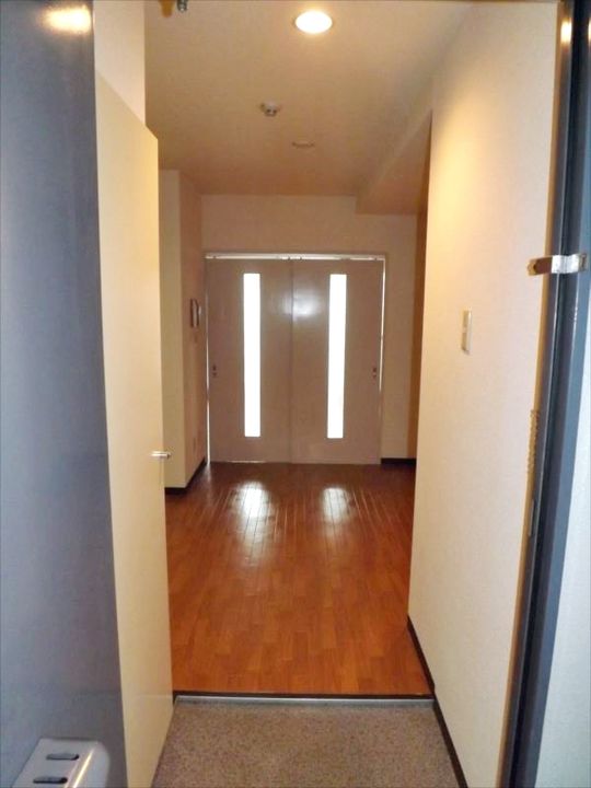 大阪府大阪市平野区瓜破東4(マンション)の賃貸物件の玄関