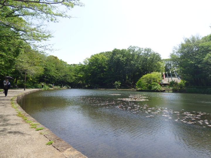 ピアッツァ仲町台ノバの周辺