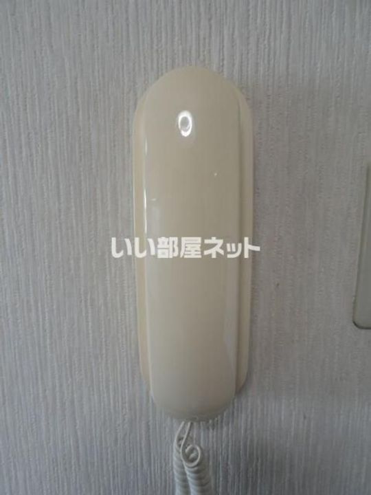 埼玉県本庄市今井(マンション)の賃貸物件の内装