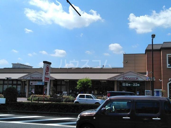 日神パレステージ玉川上水の周辺