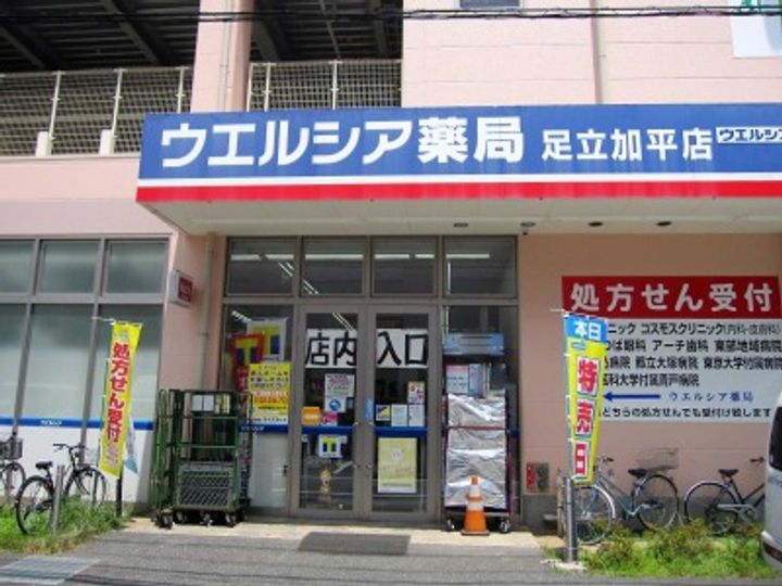 ジュネス北綾瀬の周辺