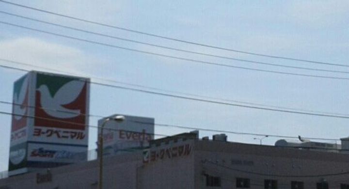 シティパートIIの周辺