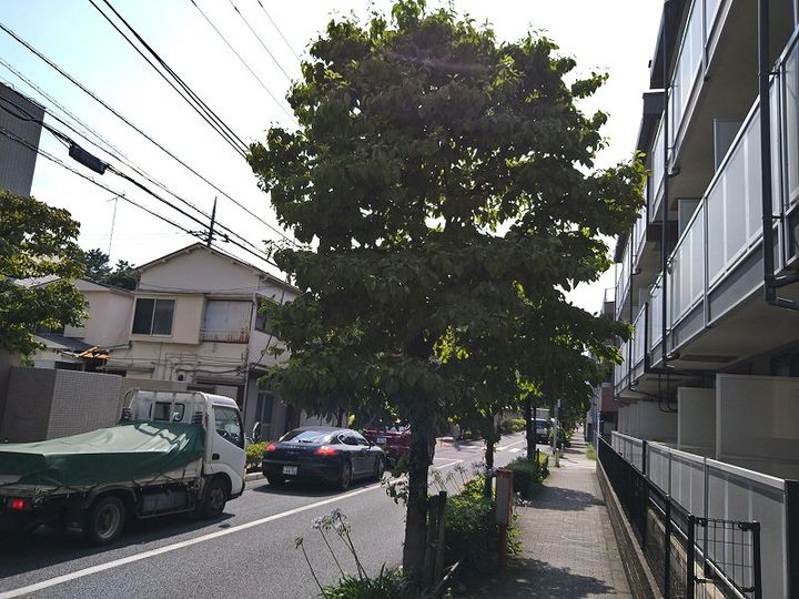 東京都世田谷区世田谷1(マンション)の賃貸物件のその他画像