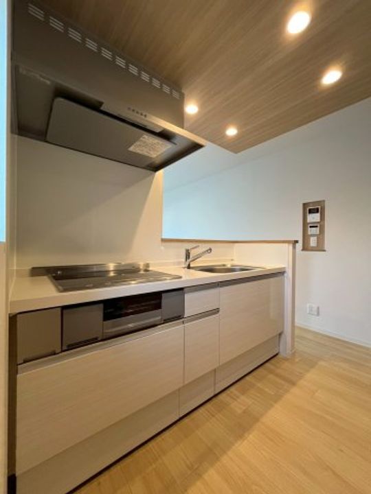 大阪府堺市西区家原寺町1(マンション)の賃貸物件のキッチン