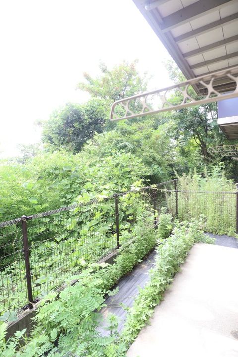 岡山県倉敷市連島町矢柄(アパート)の賃貸物件の内装