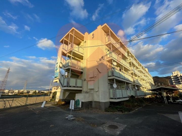 大阪府柏原市法善寺3(マンション)の賃貸物件の外観