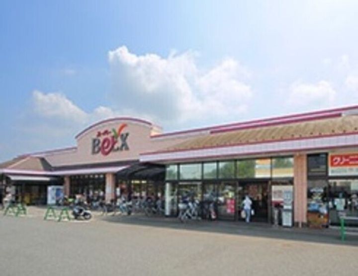 埼玉県さいたま市岩槻区西町4(一戸建)の賃貸物件の周辺