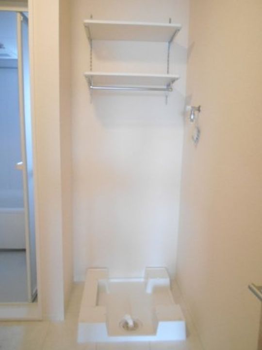 コスモスの内装