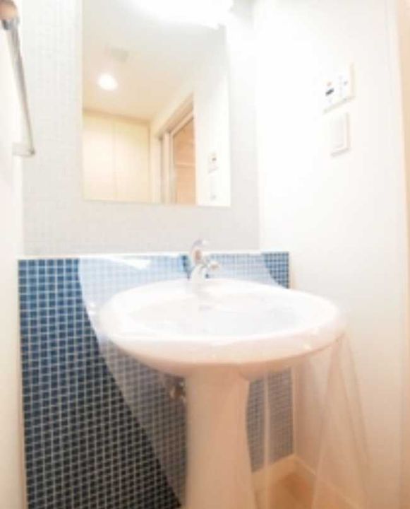 東京都渋谷区東4(マンション)の賃貸物件の内装