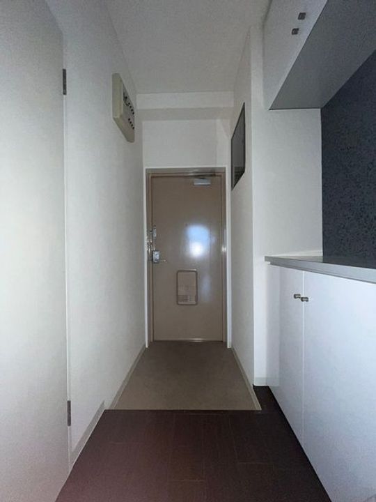 和歌山県和歌山市加納(マンション)の賃貸物件の玄関