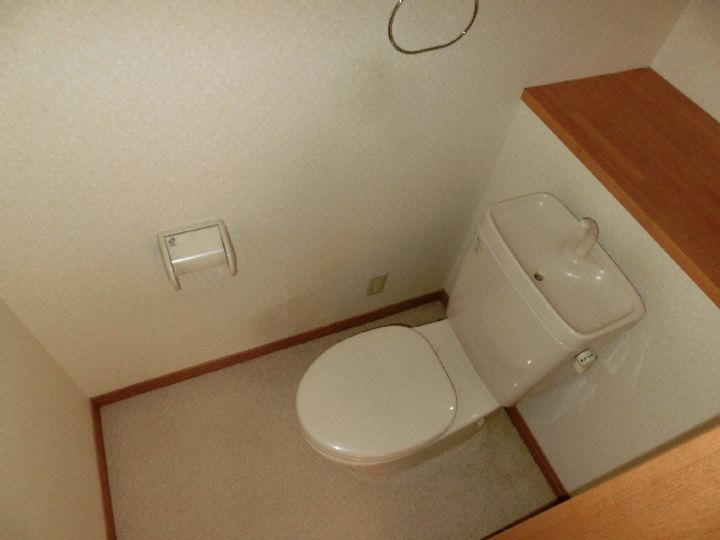 山口県岩国市平田6(アパート)の賃貸物件の内装