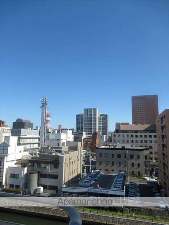 プリムローズのその他画像