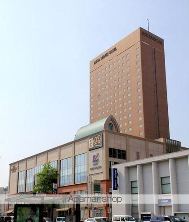 プリムローズの周辺