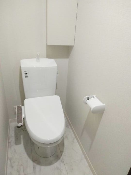東京都立川市柴崎町3(アパート)の賃貸物件の内装