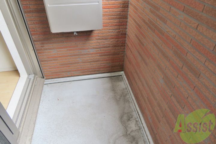 モデッサ・5の内装