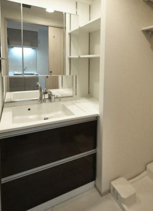 東京都江東区塩浜2(マンション)の賃貸物件の内装