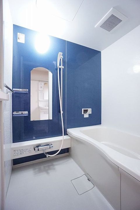 ラ・ボンヌ・メゾンB棟の風呂