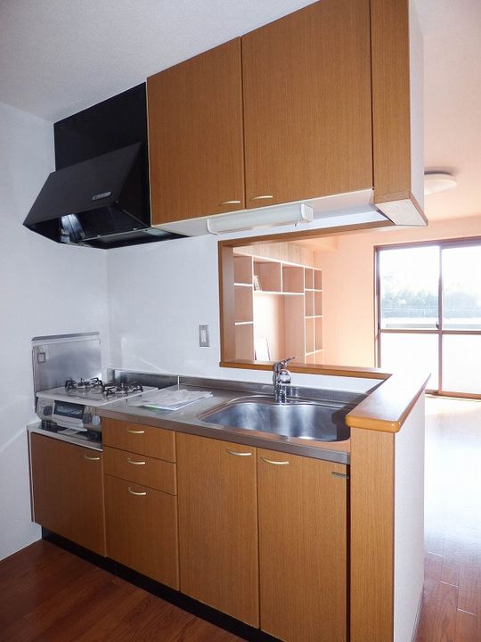 リージャ・パレ B棟のキッチン